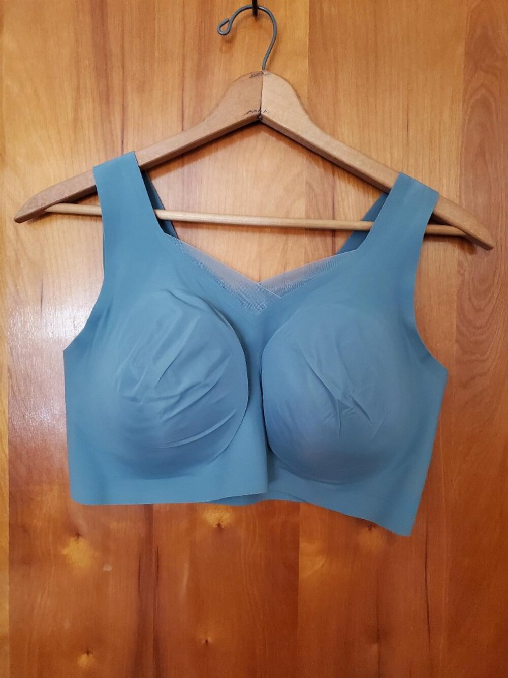 NWOT Evelyn & Bobbie Defy Bra Mesh - 2XL